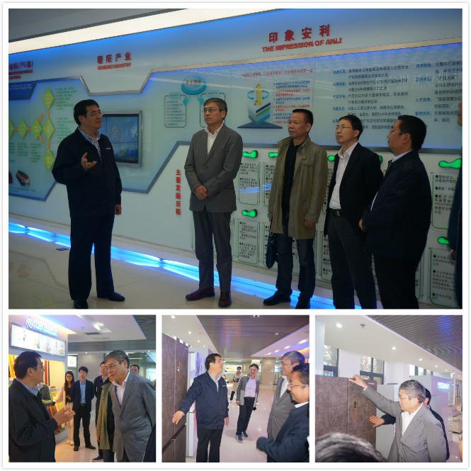 合肥市副市長王文鬆一行調研安利股份