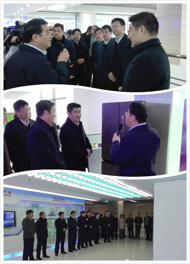 肥西縣委書記金成俊陪同和縣考察團一行參觀安利股份